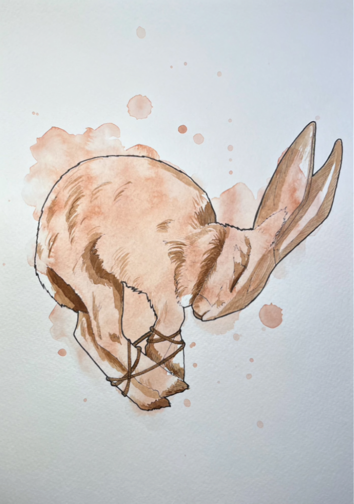Aquarell: schlafender Hase in Rostbraun mit zusammengebundenen Läufen
