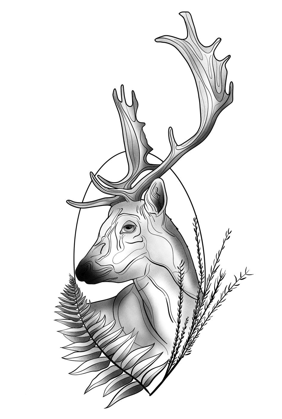 Deer with me